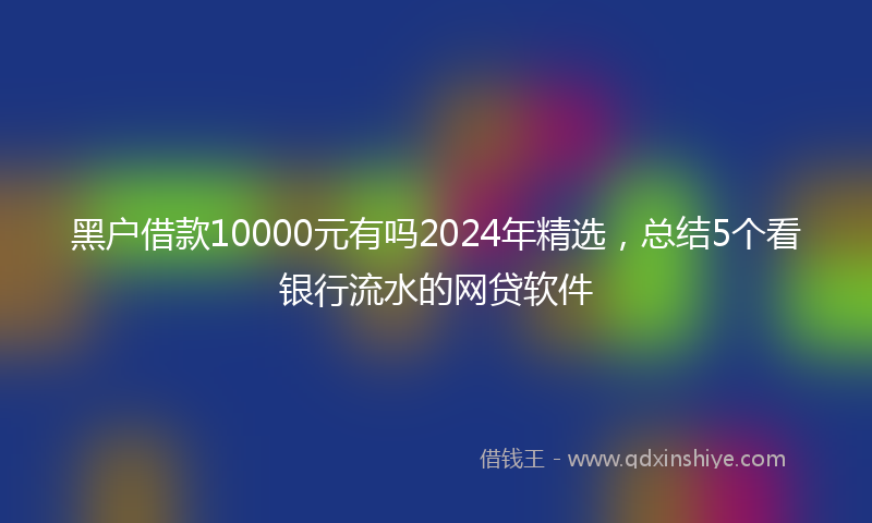 黑户借款10000元有吗2024年精选，总结5个看银行流水的网贷软件