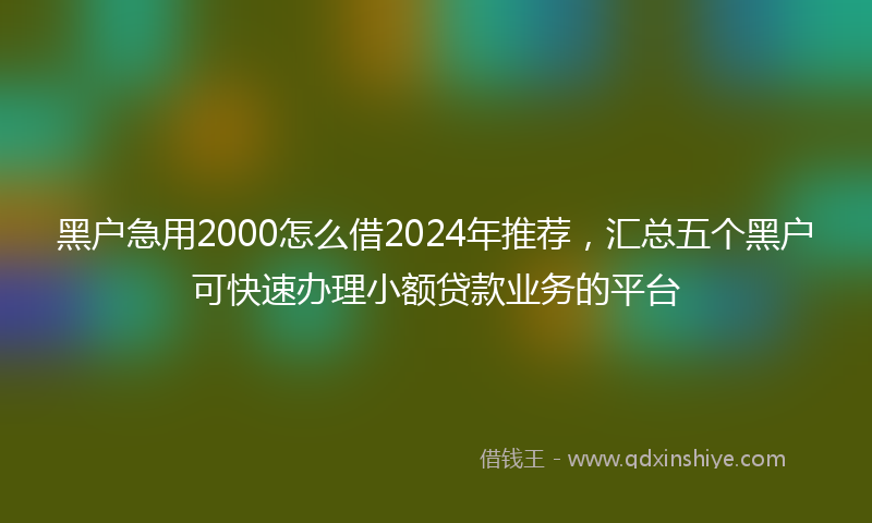 黑户急用2000怎么借2024年推荐，汇总五个黑户可快速办理小额贷款业务的平台