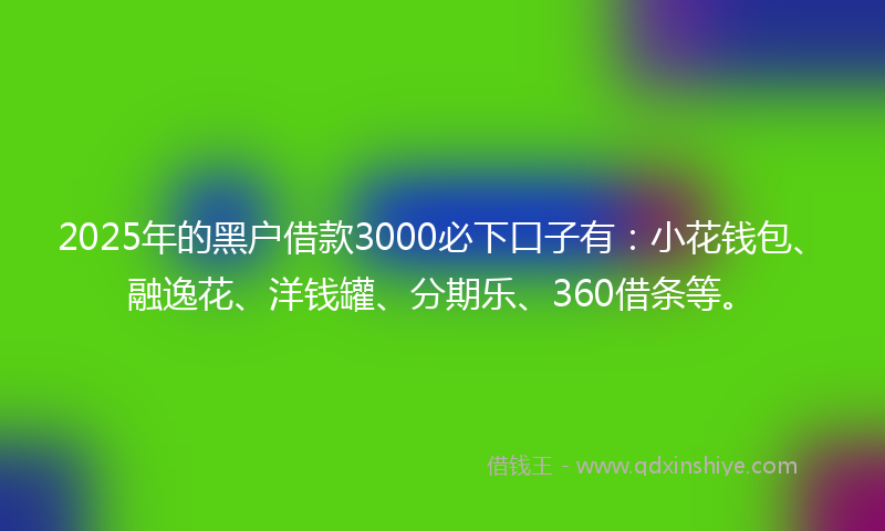 2025年的黑户借款3000必下口子有：小花钱包、融逸花、洋钱罐、分期乐、360借条等。