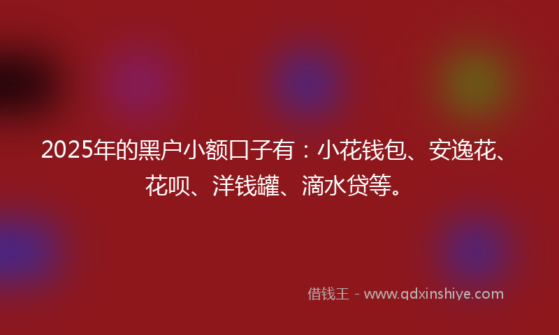 2025年的黑户小额口子有：小花钱包、安逸花、花呗、洋钱罐、滴水贷等。