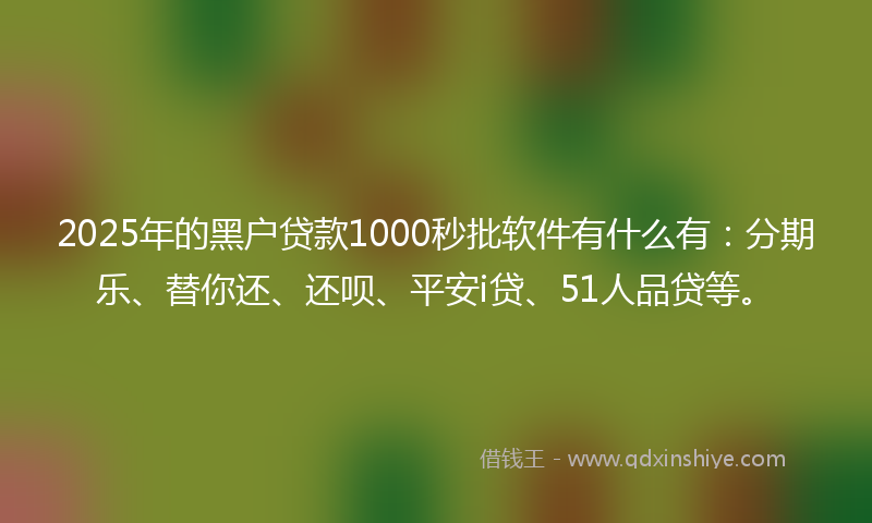 2025年的黑户贷款1000秒批软件有什么有：分期乐、替你还、还呗、平安i贷、51人品贷等。