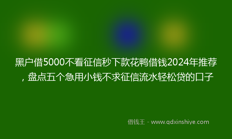 黑户借5000不看征信秒下款花鸭借钱2024年推荐，盘点五个急用小钱不求征信流水轻松贷的口子