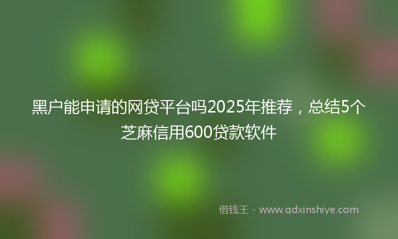 黑户能申请的网贷平台吗2025年推荐，总结5个芝麻信用600贷款软件
