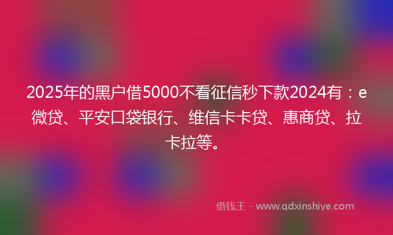 2025年的黑户借5000不看征信秒下款2024有：e微贷、平安口袋银行、维信卡卡贷、惠商贷、拉卡拉等。
