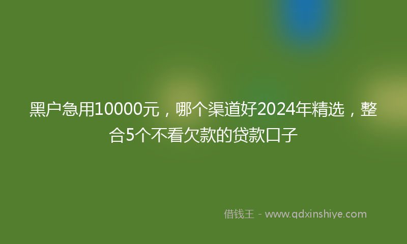 黑户急用10000元，哪个渠道好2024年精选，整合5个不看欠款的贷款口子