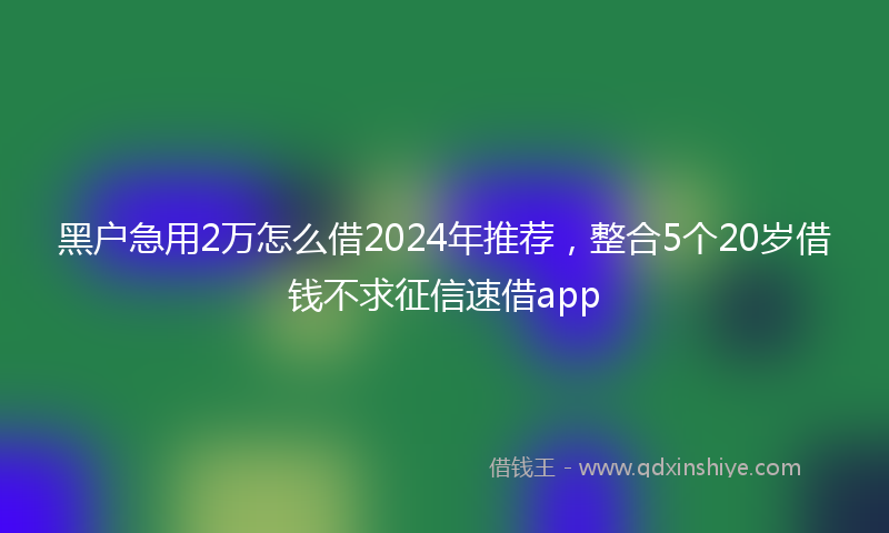 黑户急用2万怎么借2024年推荐，整合5个20岁借钱不求征信速借app