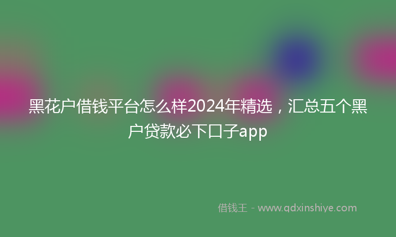 黑花户借钱平台怎么样2024年精选，汇总五个黑户贷款必下口子app