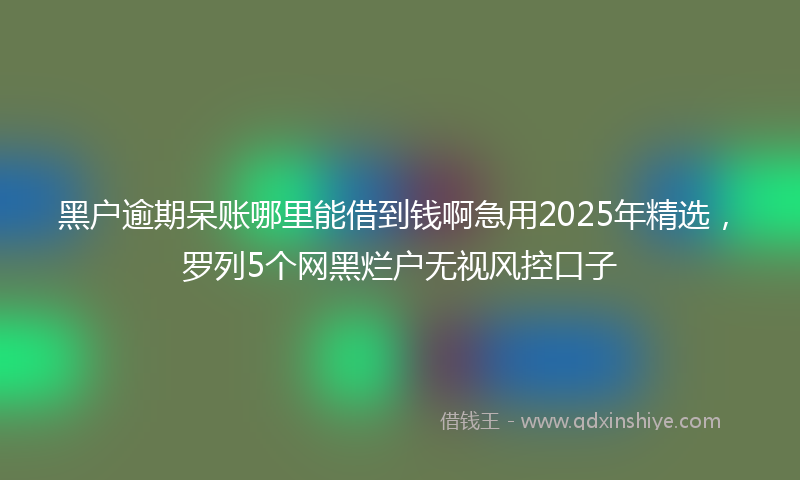 黑户逾期呆账哪里能借到钱啊急用2025年精选，罗列5个网黑烂户无视风控口子