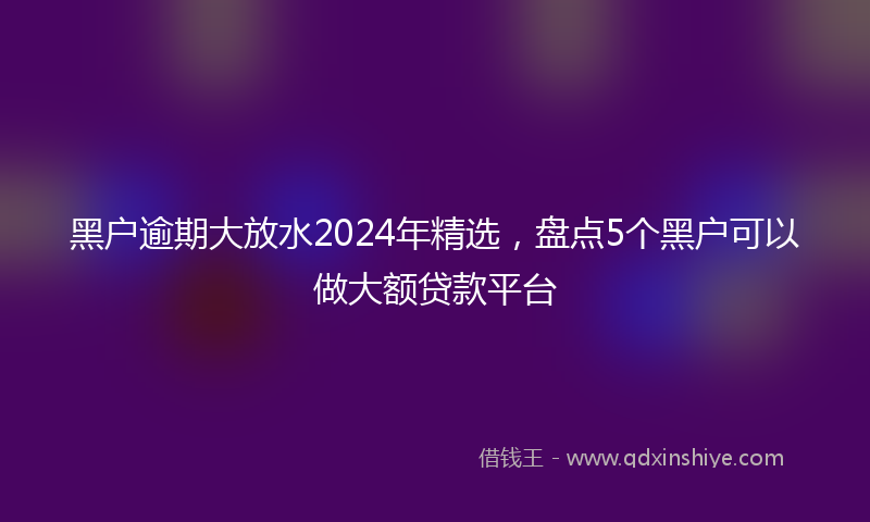 黑户逾期大放水2024年精选，盘点5个黑户可以做大额贷款平台