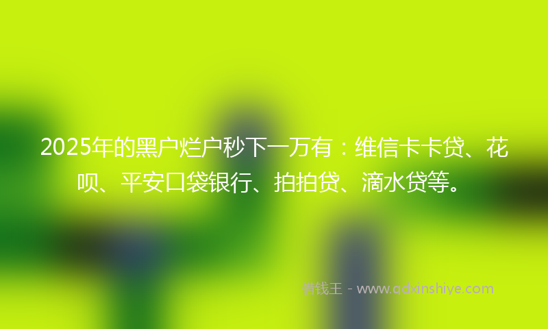 2025年的黑户烂户秒下一万有：维信卡卡贷、花呗、平安口袋银行、拍拍贷、滴水贷等。