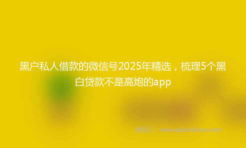 黑户私人借款的微信号2025年精选，梳理5个黑白贷款不是高炮的app