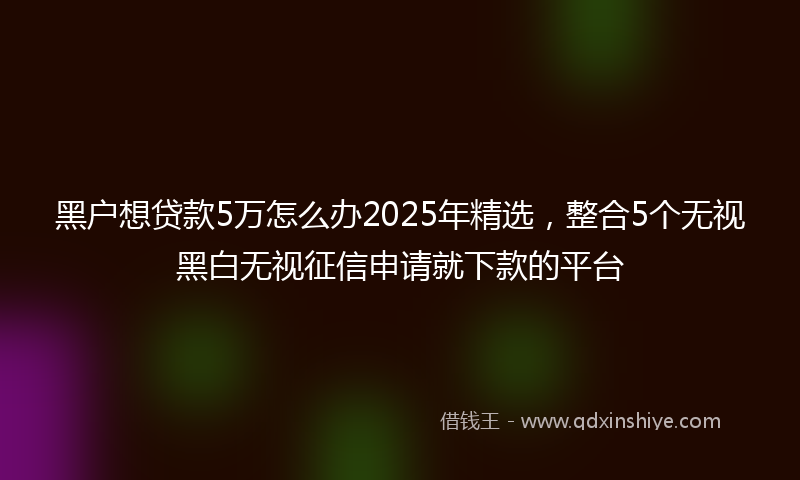 黑户想贷款5万怎么办2025年精选，整合5个无视黑白无视征信申请就下款的平台