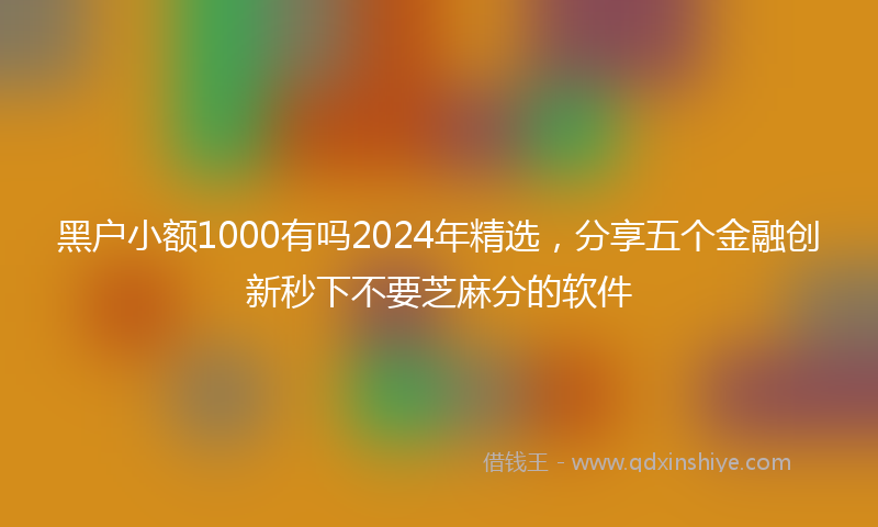黑户小额1000有吗2024年精选，分享五个金融创新秒下不要芝麻分的软件