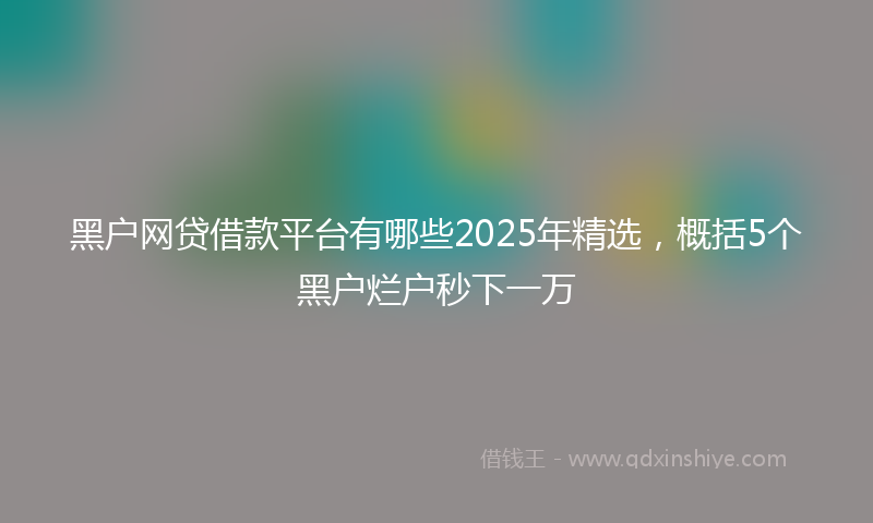 黑户网贷借款平台有哪些2025年精选，概括5个黑户烂户秒下一万