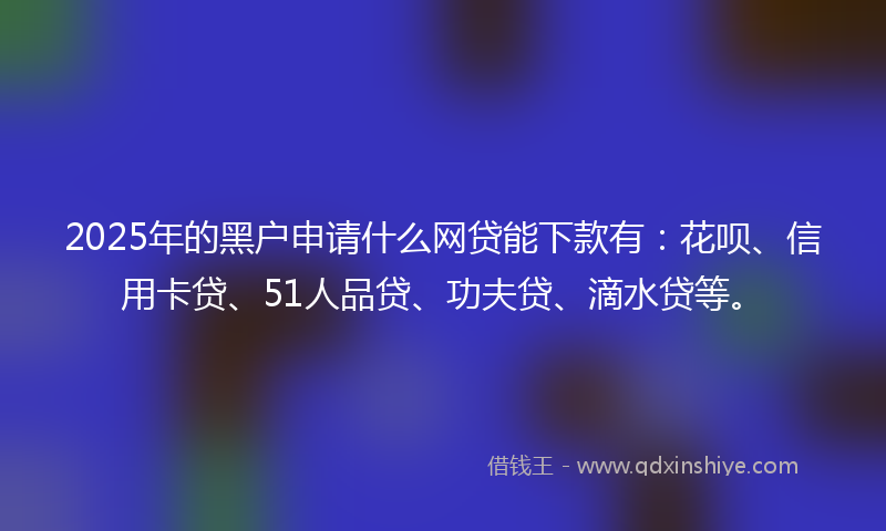 2025年的黑户申请什么网贷能下款有：花呗、信用卡贷、51人品贷、功夫贷、滴水贷等。