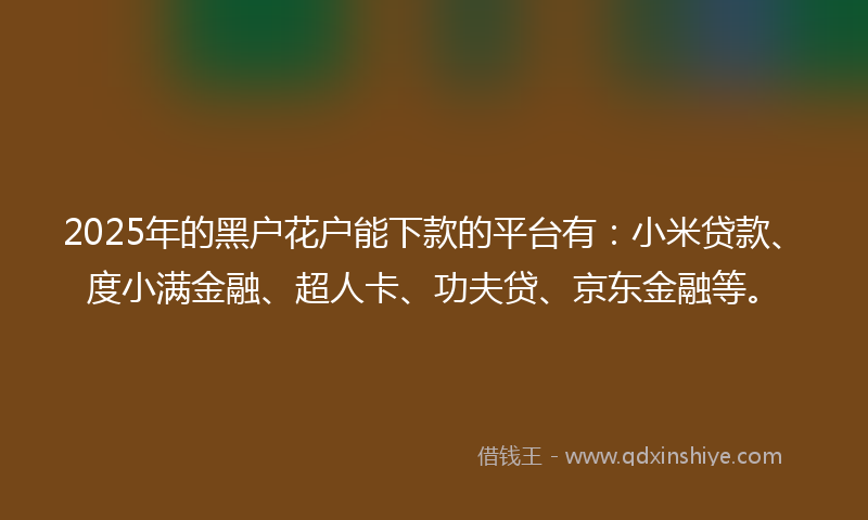 2025年的黑户花户能下款的平台有：小米贷款、度小满金融、超人卡、功夫贷、京东金融等。
