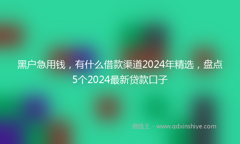 黑户急用钱，有什么借款渠道2024年精选，盘点5个2024最新贷款口子