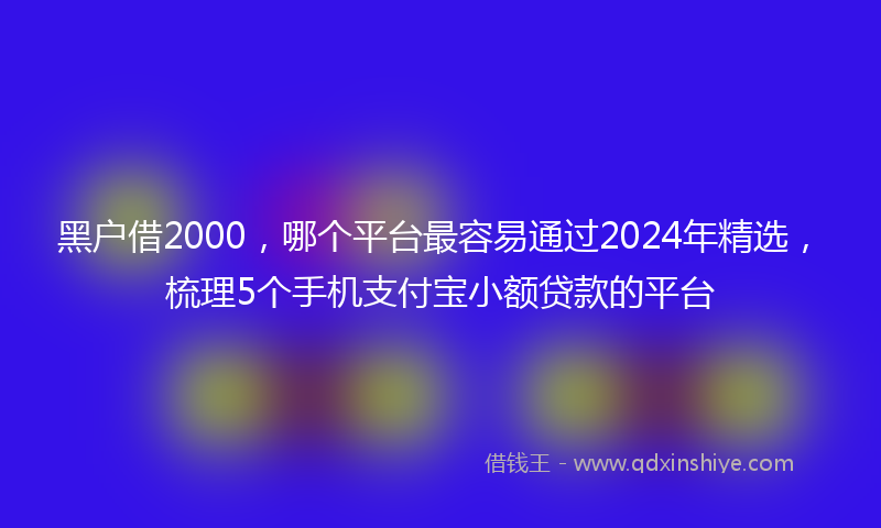 黑户借2000，哪个平台最容易通过2024年精选，梳理5个手机支付宝小额贷款的平台