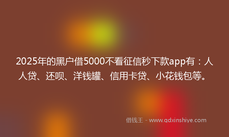 2025年的黑户借5000不看征信秒下款app有：人人贷、还呗、洋钱罐、信用卡贷、小花钱包等。