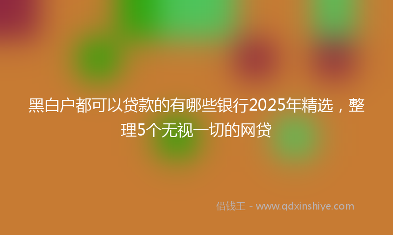 黑白户都可以贷款的有哪些银行2025年精选，整理5个无视一切的网贷