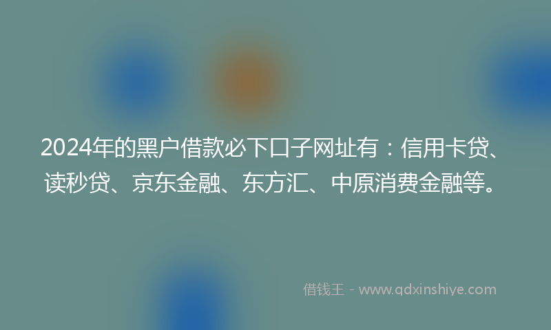 2024年的黑户借款必下口子网址有：信用卡贷、读秒贷、京东金融、东方汇、中原消费金融等。