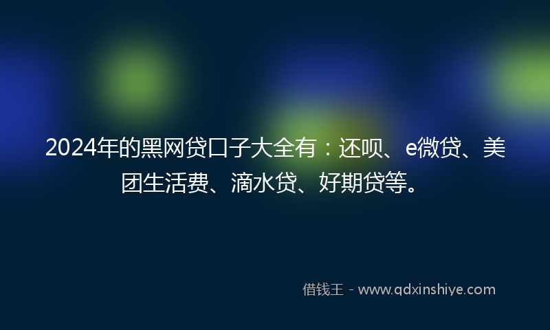 2024年的黑网贷口子大全有：还呗、e微贷、美团生活费、滴水贷、好期贷等。