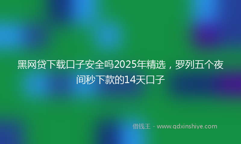 黑网贷下载口子安全吗2025年精选，罗列五个夜间秒下款的14天口子