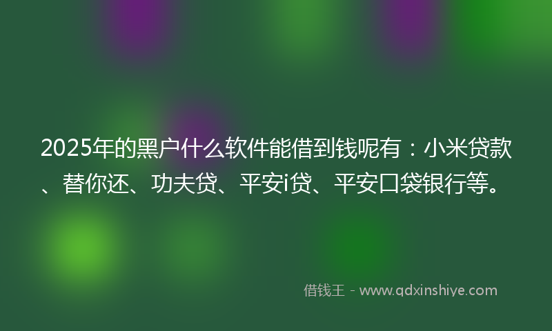 2025年的黑户什么软件能借到钱呢有：小米贷款、替你还、功夫贷、平安i贷、平安口袋银行等。