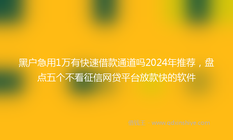 黑户急用1万有快速借款通道吗2024年推荐，盘点五个不看征信网贷平台放款快的软件