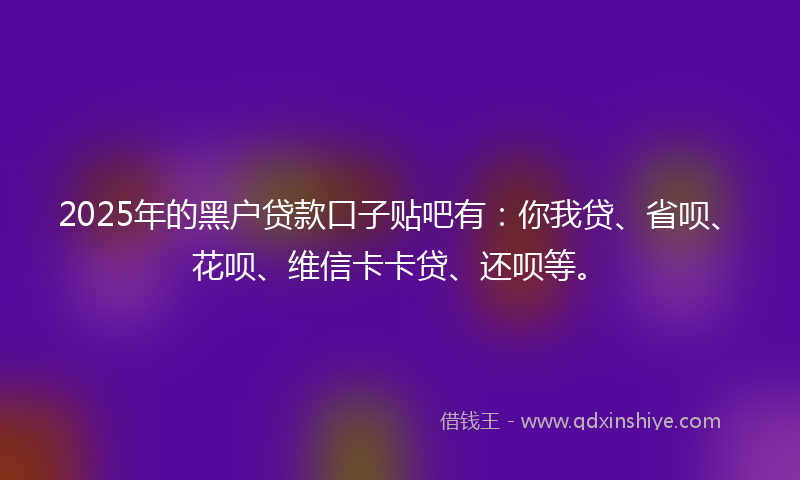 2025年的黑户贷款口子贴吧有：你我贷、省呗、花呗、维信卡卡贷、还呗等。