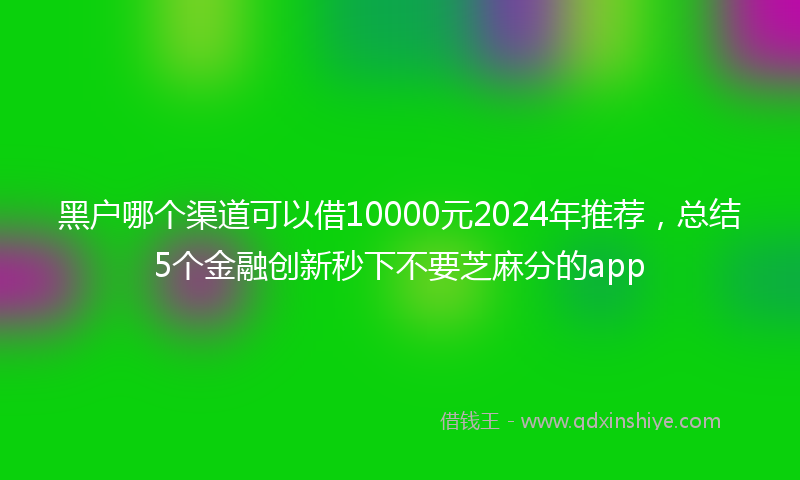 黑户哪个渠道可以借10000元2024年推荐，总结5个金融创新秒下不要芝麻分的app