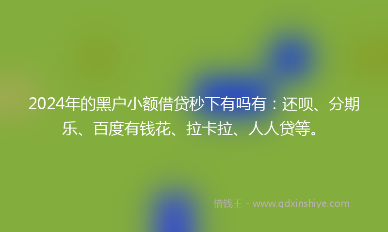 2024年的黑户小额借贷秒下有吗有：还呗、分期乐、百度有钱花、拉卡拉、人人贷等。
