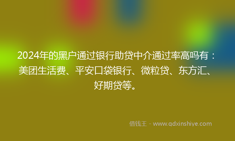 2024年的黑户通过银行助贷中介通过率高吗有：美团生活费、平安口袋银行、微粒贷、东方汇、好期贷等。