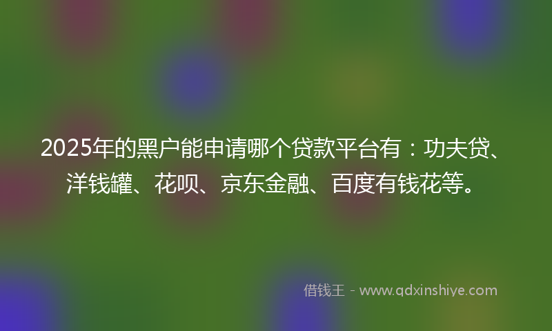 2025年的黑户能申请哪个贷款平台有：功夫贷、洋钱罐、花呗、京东金融、百度有钱花等。