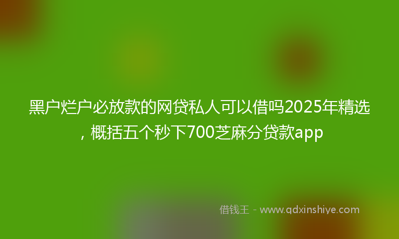 黑户烂户必放款的网贷私人可以借吗2025年精选，概括五个秒下700芝麻分贷款app