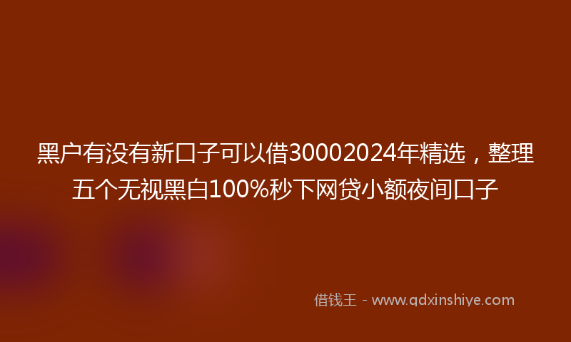 黑户有没有新口子可以借30002024年精选，整理五个无视黑白100%秒下网贷小额夜间口子