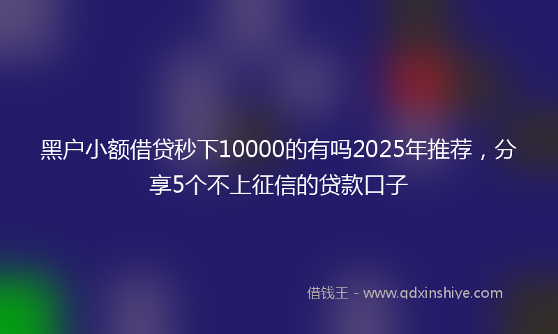 黑户小额借贷秒下10000的有吗2025年推荐，分享5个不上征信的贷款口子