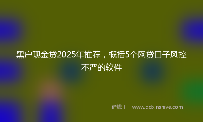黑户现金贷2025年推荐，概括5个网贷口子风控不严的软件