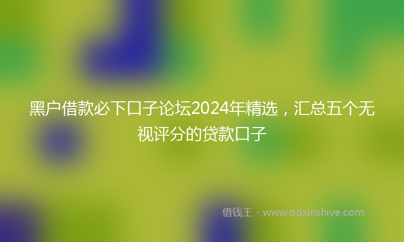 黑户借款必下口子论坛2024年精选，汇总五个无视评分的贷款口子