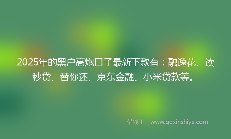 2025年的黑户高炮口子最新下款有：融逸花、读秒贷、替你还、京东金融、小米贷款等。
