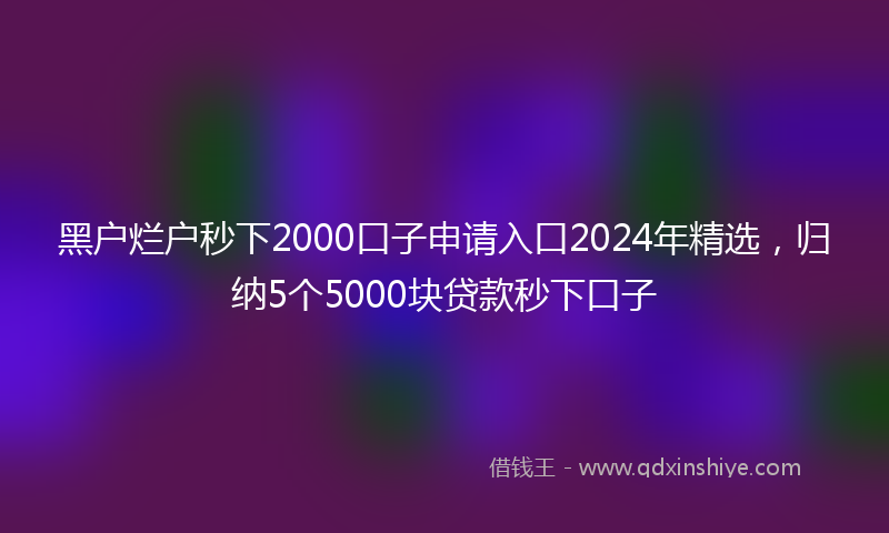 黑户烂户秒下2000口子申请入口2024年精选，归纳5个5000块贷款秒下口子