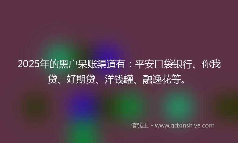 2025年的黑户呆账渠道有：平安口袋银行、你我贷、好期贷、洋钱罐、融逸花等。