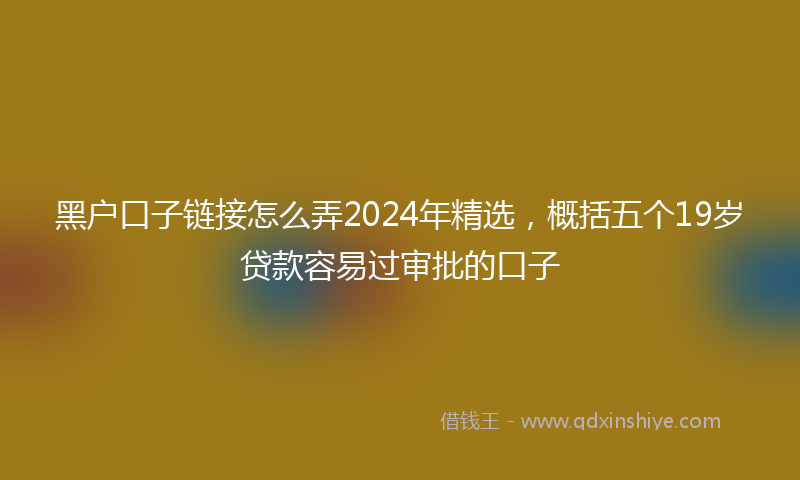 黑户口子链接怎么弄2024年精选，概括五个19岁贷款容易过审批的口子