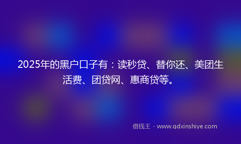 2025年的黑户口子有：读秒贷、替你还、美团生活费、团贷网、惠商贷等。