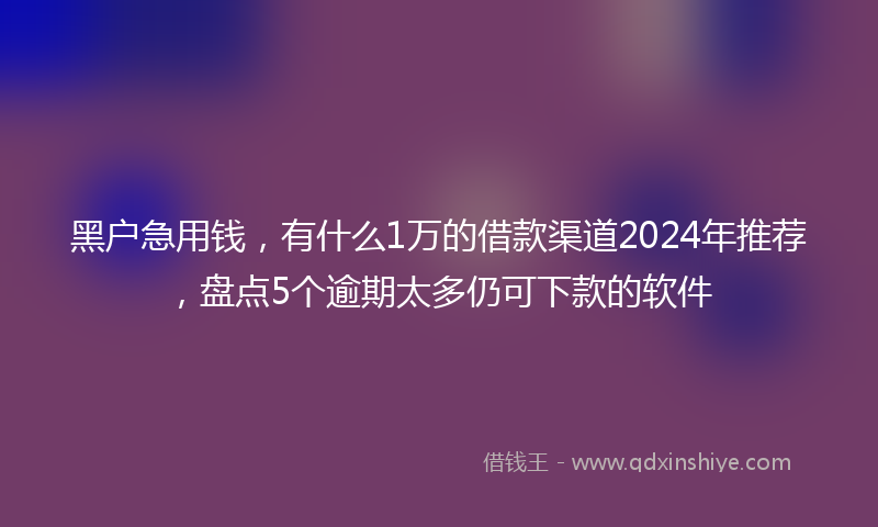 黑户急用钱，有什么1万的借款渠道2024年推荐，盘点5个逾期太多仍可下款的软件