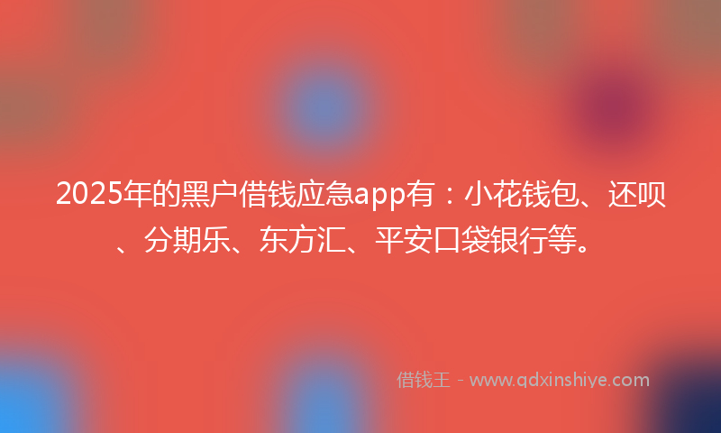 2025年的黑户借钱应急app有：小花钱包、还呗、分期乐、东方汇、平安口袋银行等。