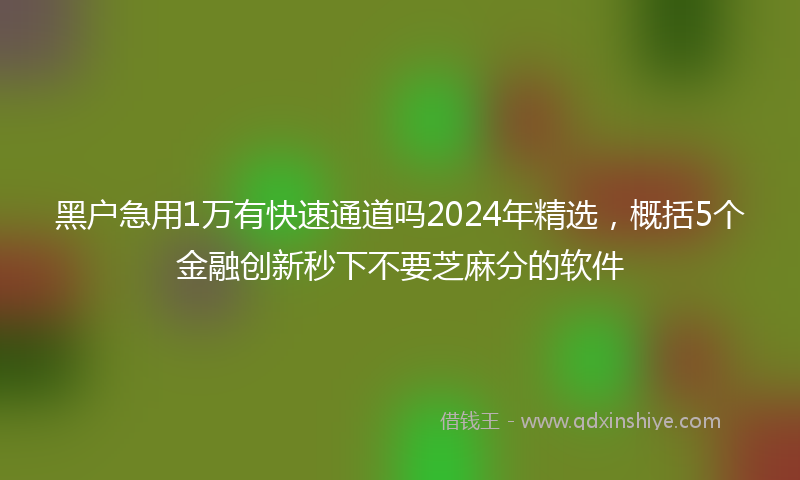 黑户急用1万有快速通道吗2024年精选，概括5个金融创新秒下不要芝麻分的软件