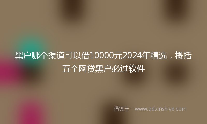黑户哪个渠道可以借10000元2024年精选，概括五个网贷黑户必过软件