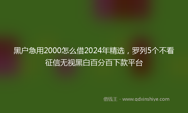 黑户急用2000怎么借2024年精选，罗列5个不看征信无视黑白百分百下款平台