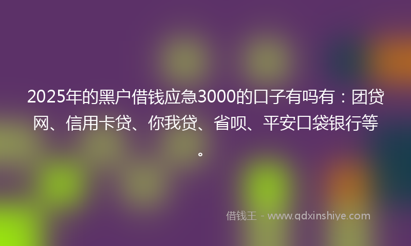 2025年的黑户借钱应急3000的口子有吗有：团贷网、信用卡贷、你我贷、省呗、平安口袋银行等。